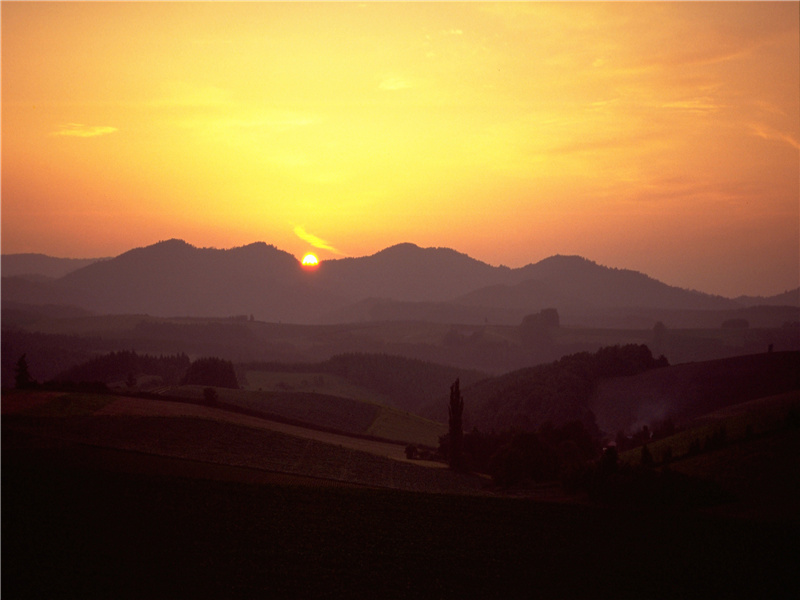 犹太人流浪之谜-欧洲古城失落之谜