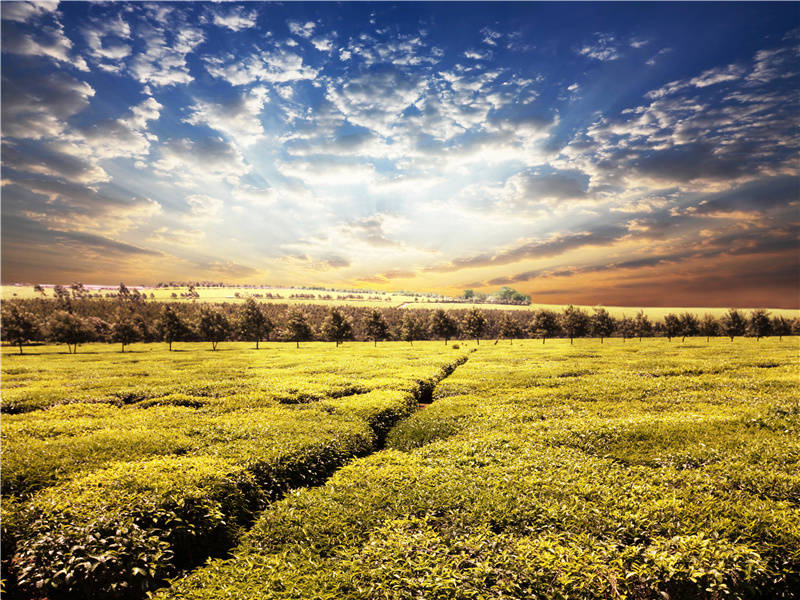 “欧洲”名字的来历之谜-欧洲古城失落之谜