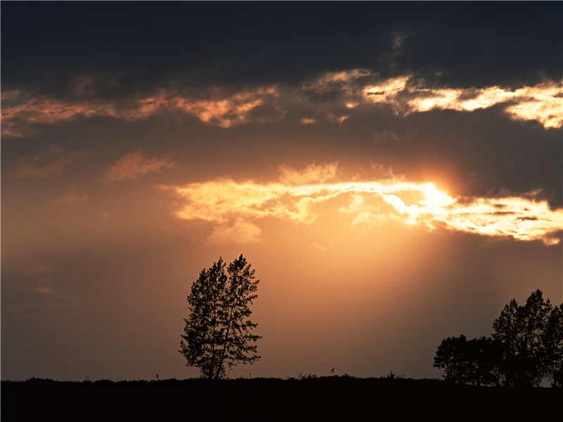 旷日持久的发掘-庞贝繁华的哀伤