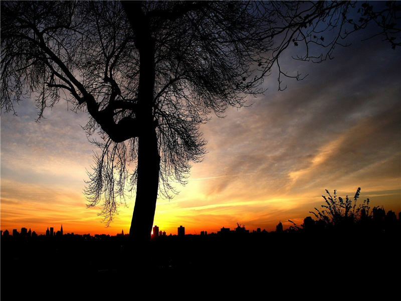 丝绸之路上的重镇-楼兰罗布泊的美丽幽灵