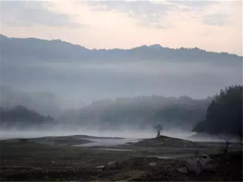 米开朗基罗的画技之谜-历史名人事迹追踪