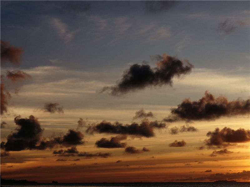 特洛伊黄金失踪之谜-特洛伊神谕指引的黄金城