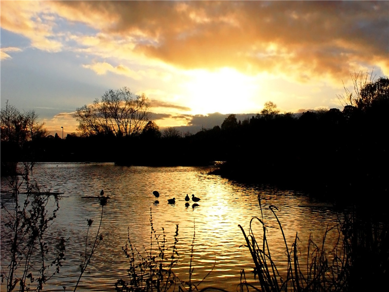 中东玫瑰红瑞士探险家闯入禁区-佩特拉
