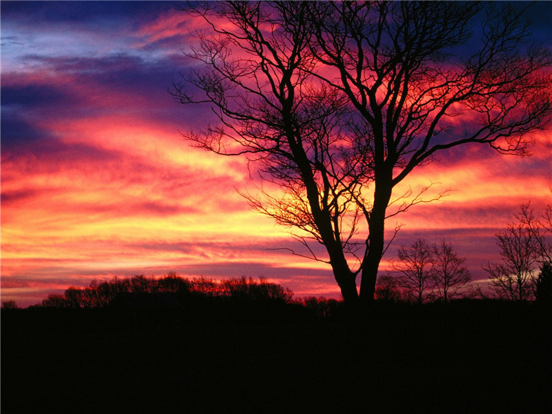 掩埋的米诺斯文明-佩特拉