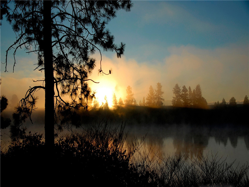 悲剧的诞生-佩特拉