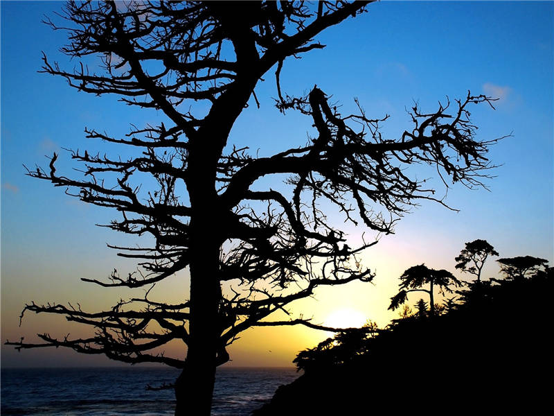 与神共舞的玛雅人-创造奇迹的玛雅文明-万古绝响失落的古文明