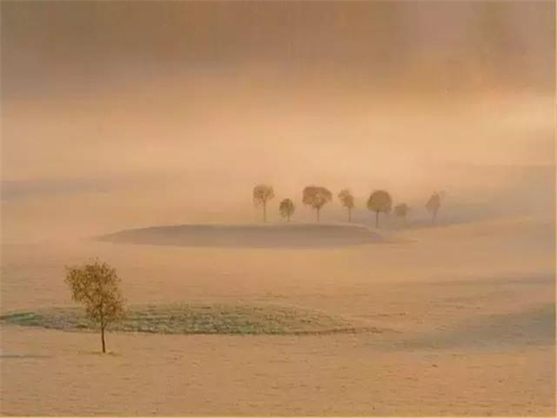 米开朗基罗为何终身未娶-历史名人事迹追踪