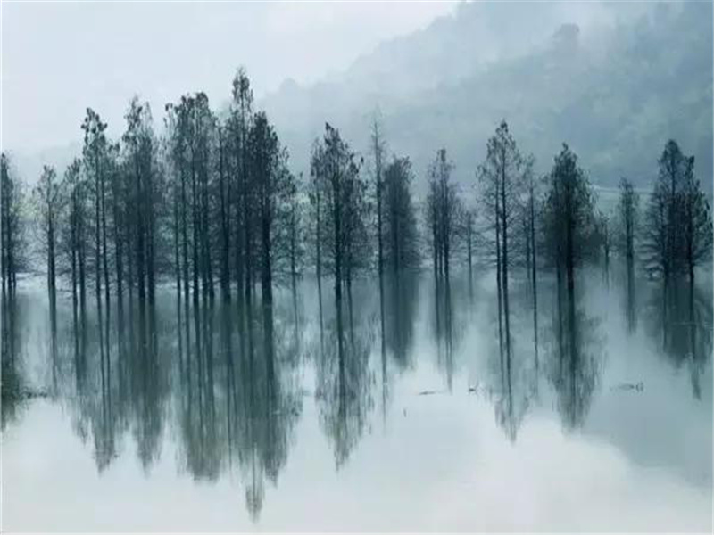 拉斐尔的秀美画风与女人有关吗-历史名人事迹追踪