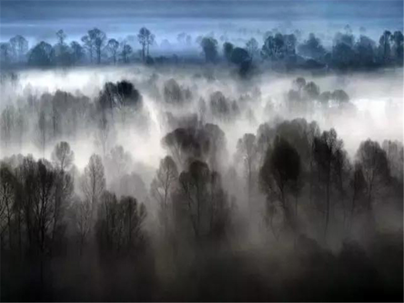 “鞭打王公的鞭子”阿雷蒂诺-历史名人事迹追踪