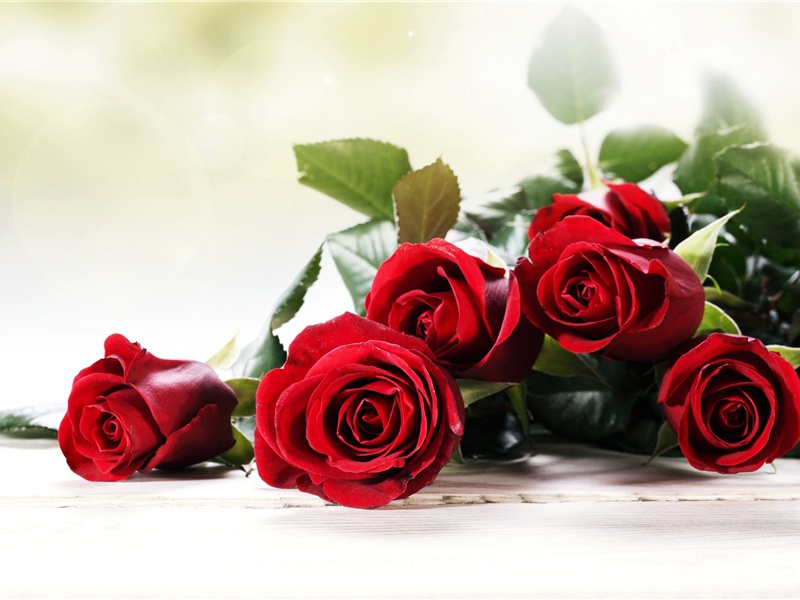 无花果之谜- 神秘的植物