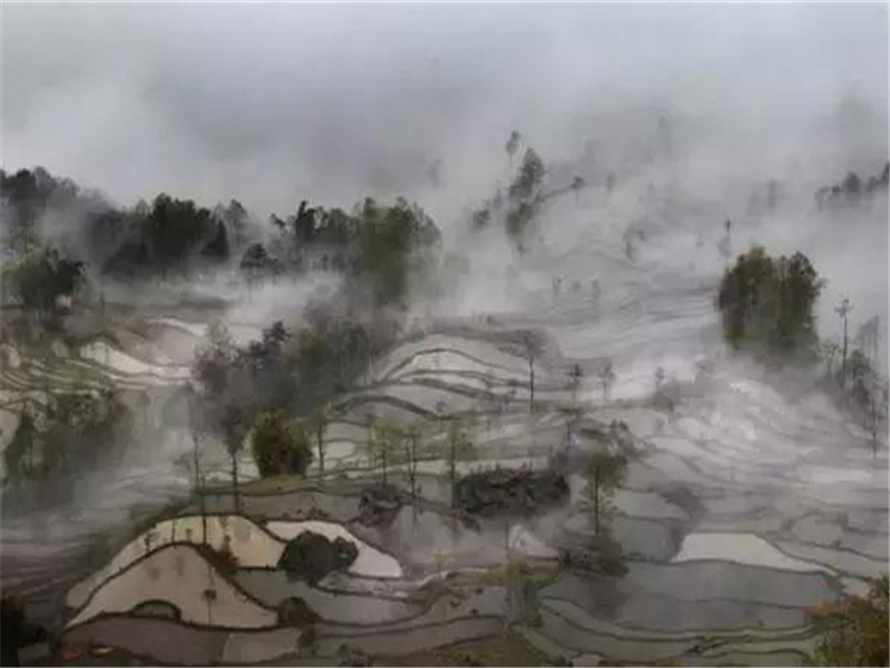 思想家卢梭的忧郁之谜-历史名人事迹追踪