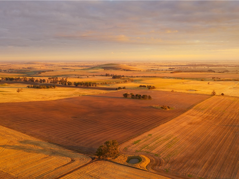 植物是如何选择自己“媒人”的-奇草异花- 形形色色的植物世界
