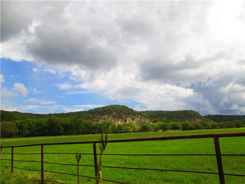 为什么野燕麦的种子会爬- 形形色色的植物世界