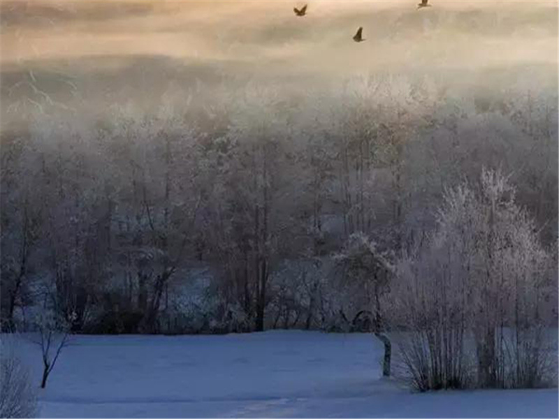 康德的性格之谜-历史名人事迹追踪