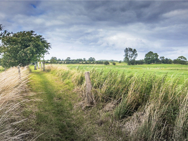 哑巴民族-世间民族的奇特