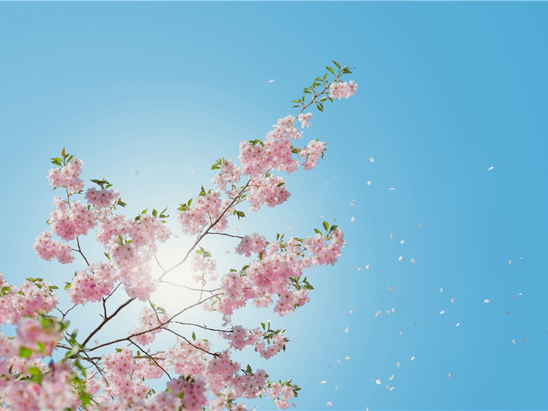 不拿别人一针一线的民族-世间民族的奇特