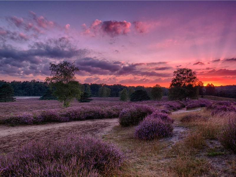 泼水去旧-世间民族的奇特