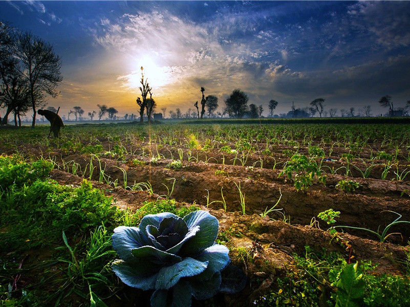 “太阳国”-世间民族的奇特