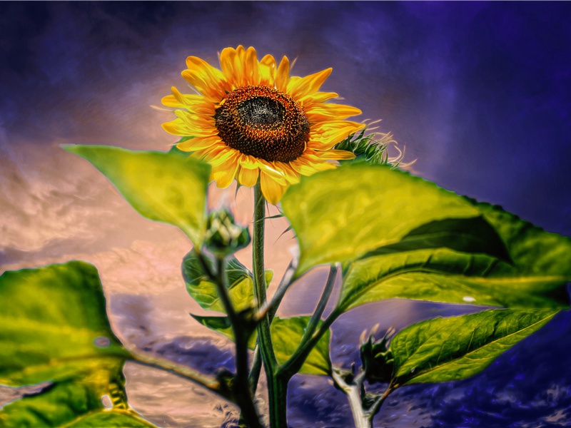 赶鬼避邪-世间民族的奇特