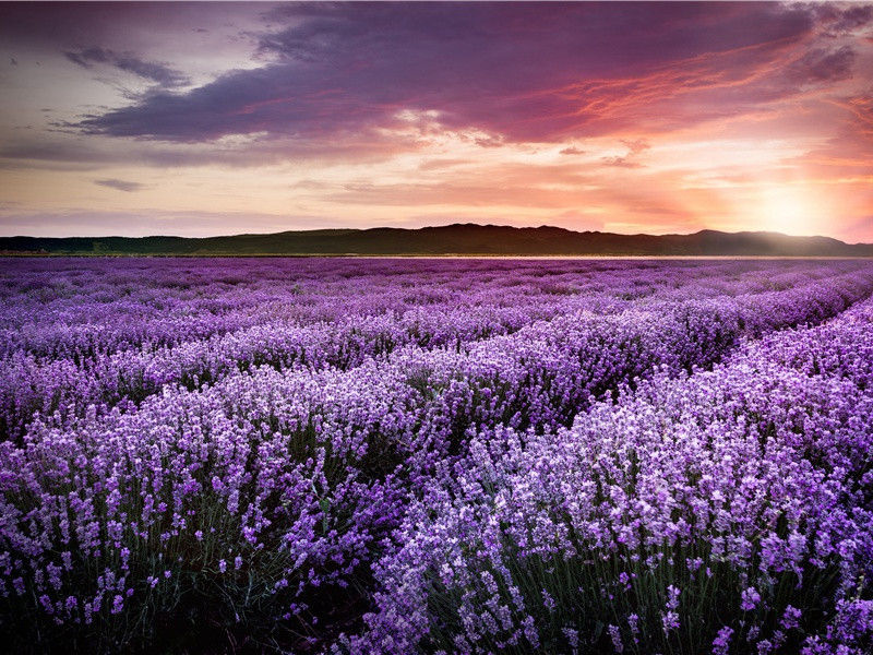 赤裸的新娘-世间民族的奇特