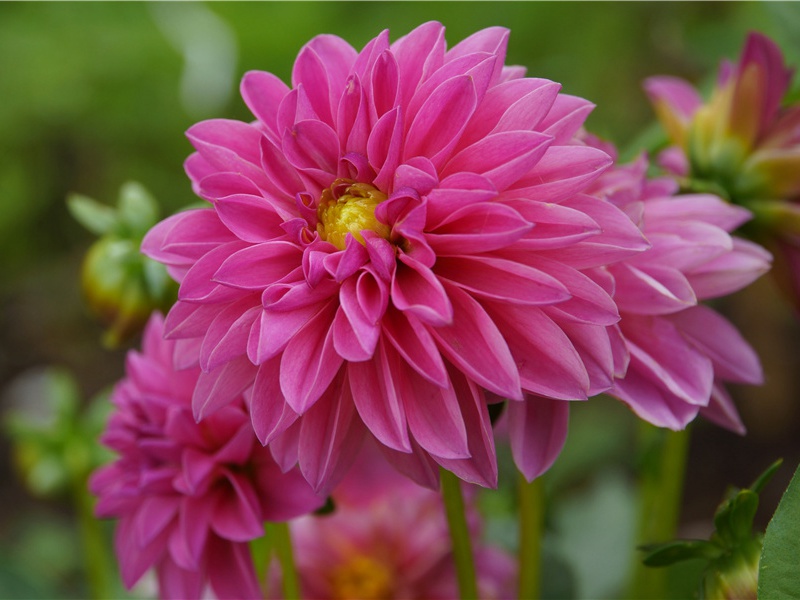 无聊古怪的会社-世间民族的奇特