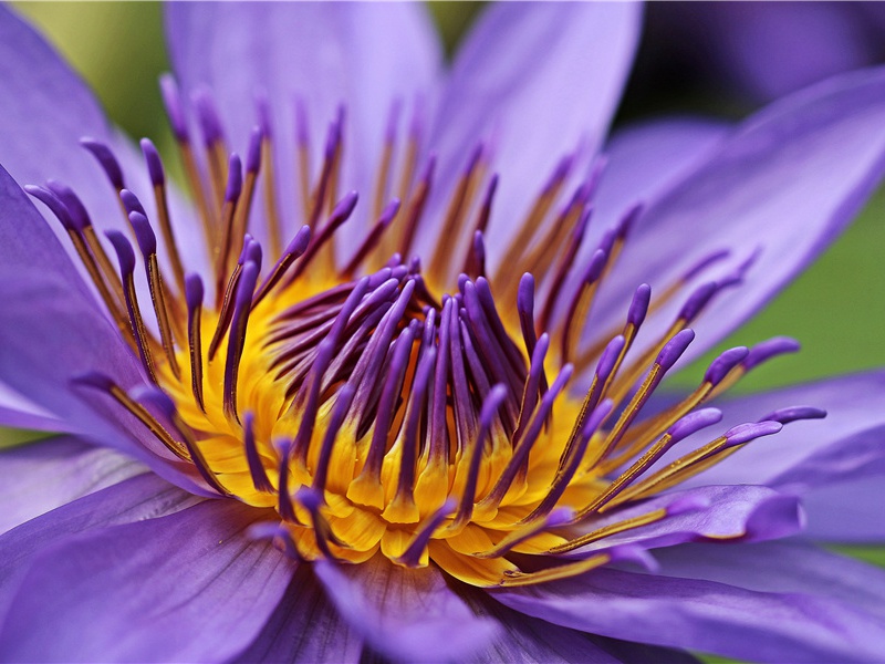 为死人换衣-世间民族的奇特