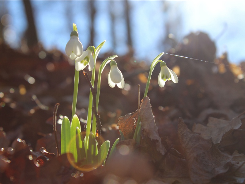 大老板到厕所进餐-世间民族的奇特