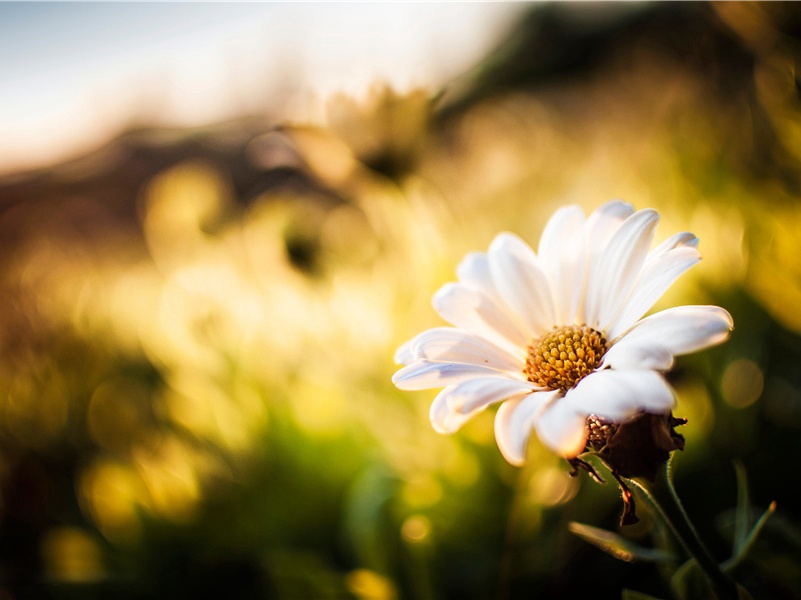 离奇古怪的法律-世间民族的奇特