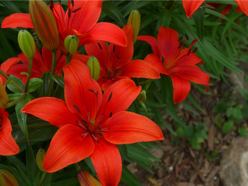 法官犯法人狱薪金照拿不误-世间民族的奇特