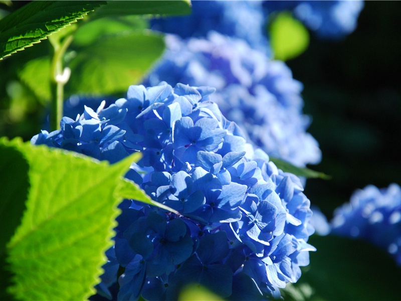 不能笑的地方-世间民族的奇特