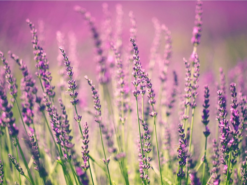 最为稀奇的刑罚-世间民族的奇特