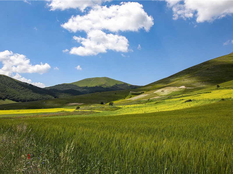 奇特的“蛇环礼”-世间民族的奇特