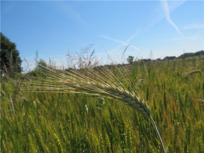 海水传书-世间民族的奇特