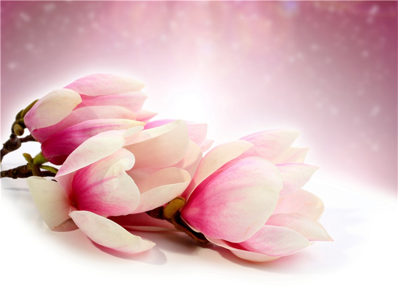 奇特婴儿-奇特的孩童