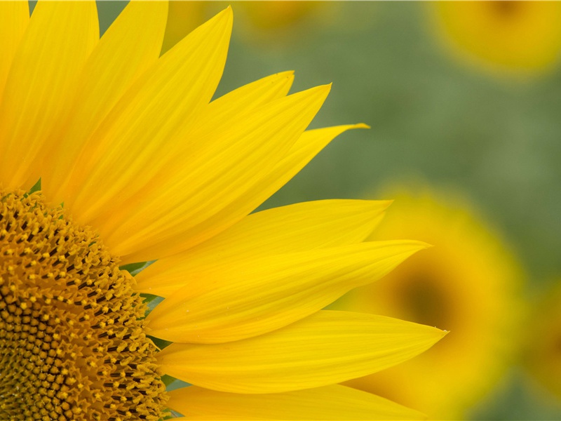 被判入狱的婴儿-奇特的孩童