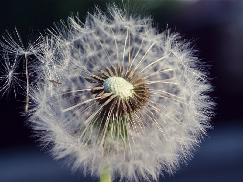 手掌上的男婴-奇特的孩童