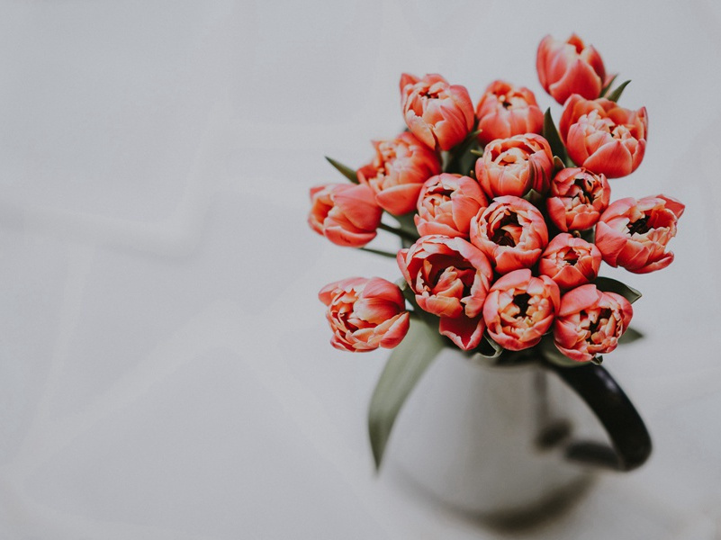 长不大的“3寸钉”-奇特的孩童