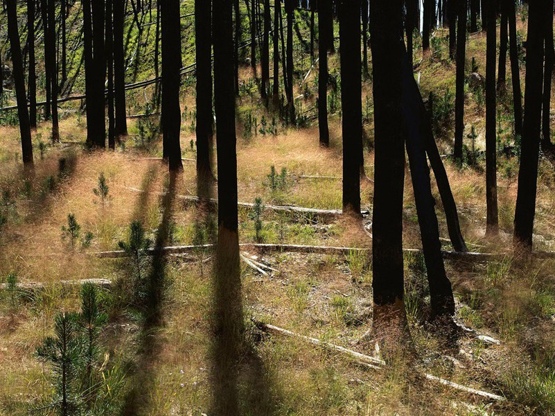 穿电冰服装的人-奇特的孩童