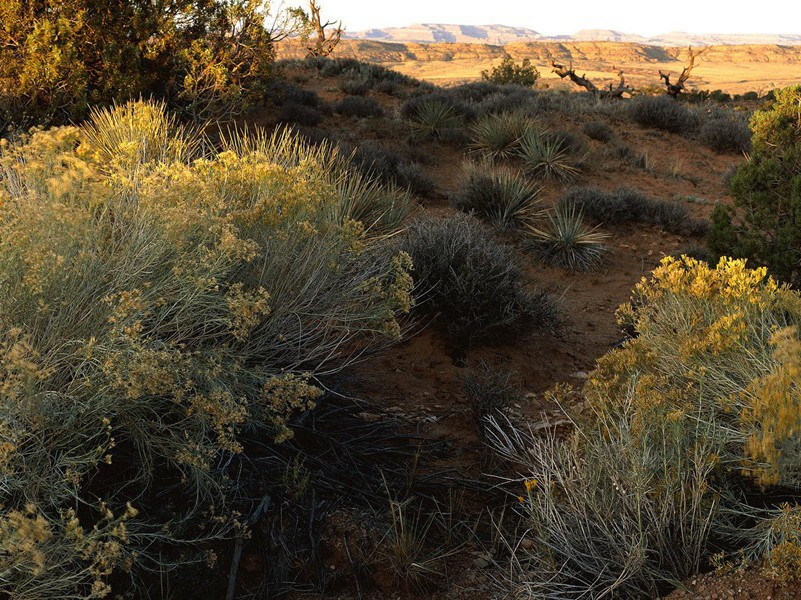 世界上最小婴儿健康成长-奇特的孩童