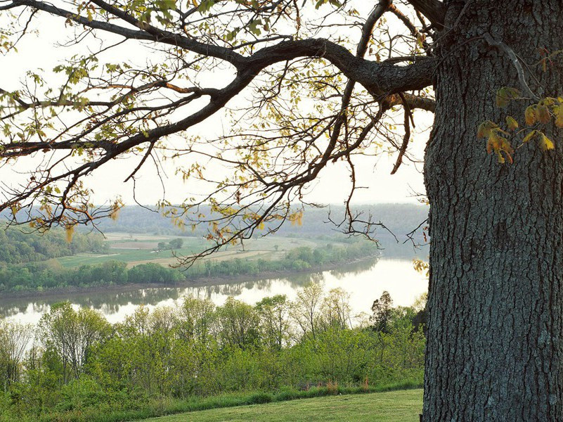 7岁老爷爷-奇特的孩童