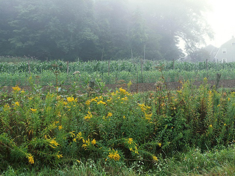 3岁半的小佳佳“报地震”-奇特的孩童
