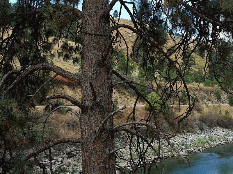 眼睛会喷火的少年-奇特的孩童