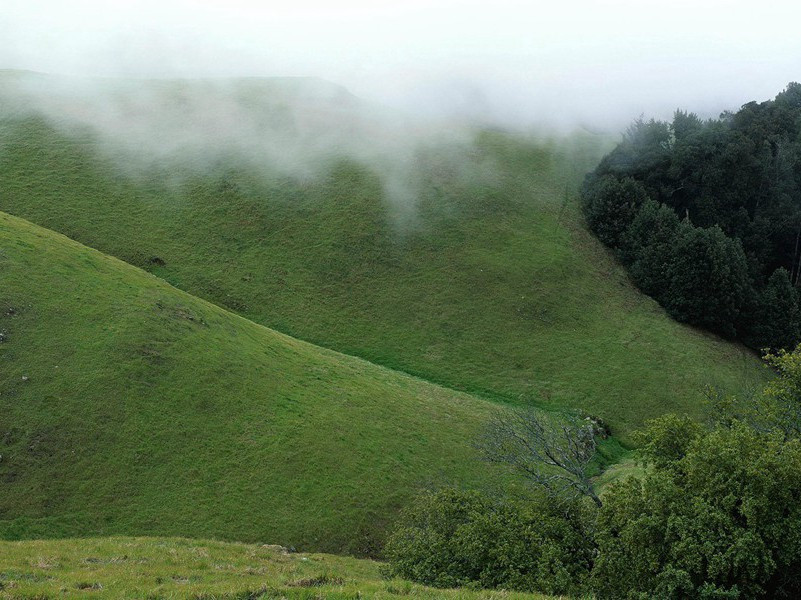 两脑各具功能的双脑人-奇特的孩童