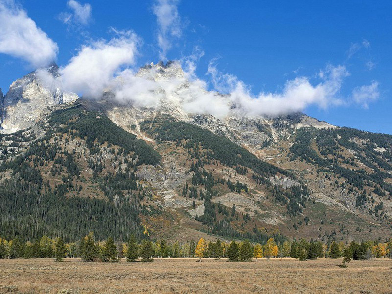 跌入冰河66分钟女孩安然无恙-奇特的孩童