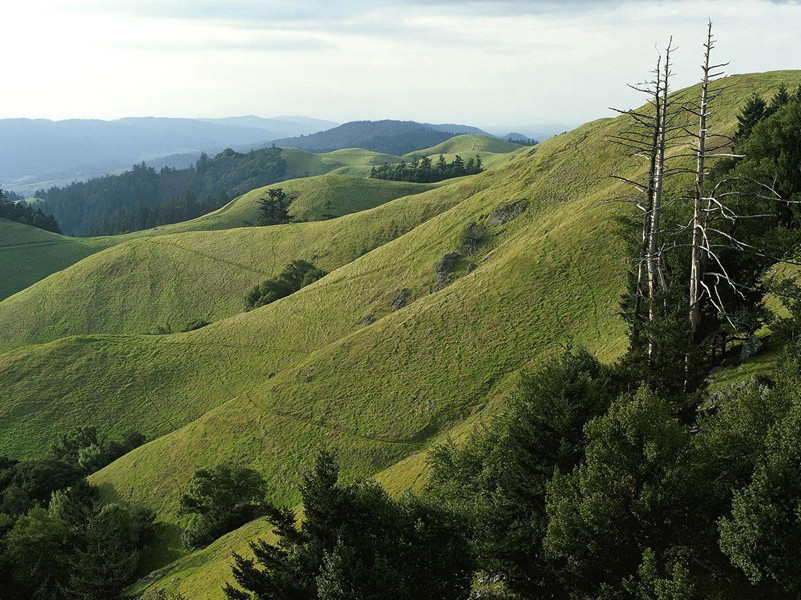 跌入冰河45分钟死而复生-奇特的孩童