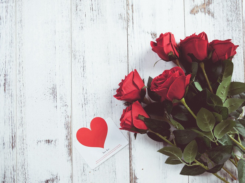 母狗带大的“狗孩”-奇特的孩童