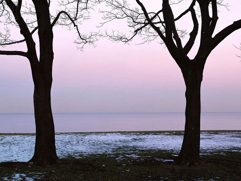 狼孩奇闻-奇特的孩童