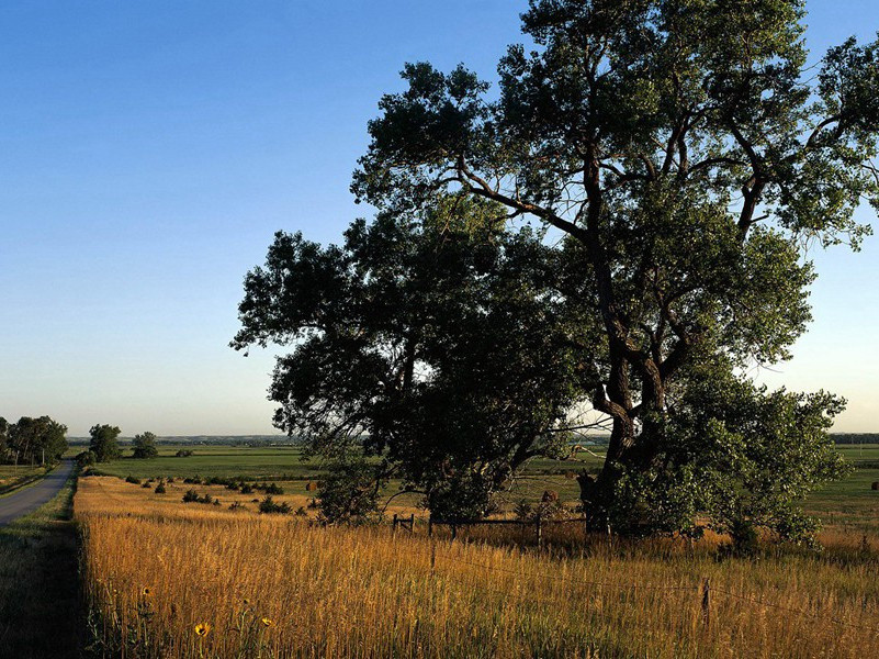 7岁女童读写四国文字-奇特的孩童