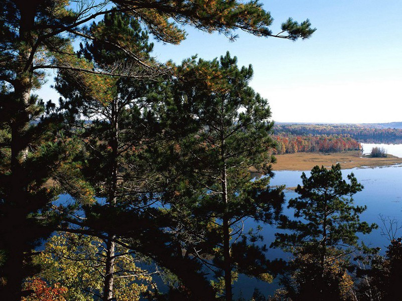 婴喜爱水上眠-奇特的孩童
