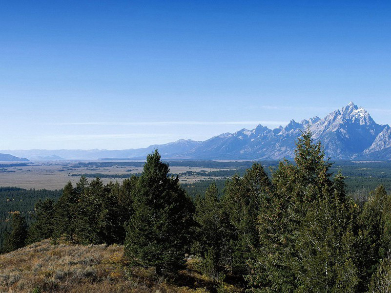 兽腿作人腿能走又抗癌-奇特的孩童